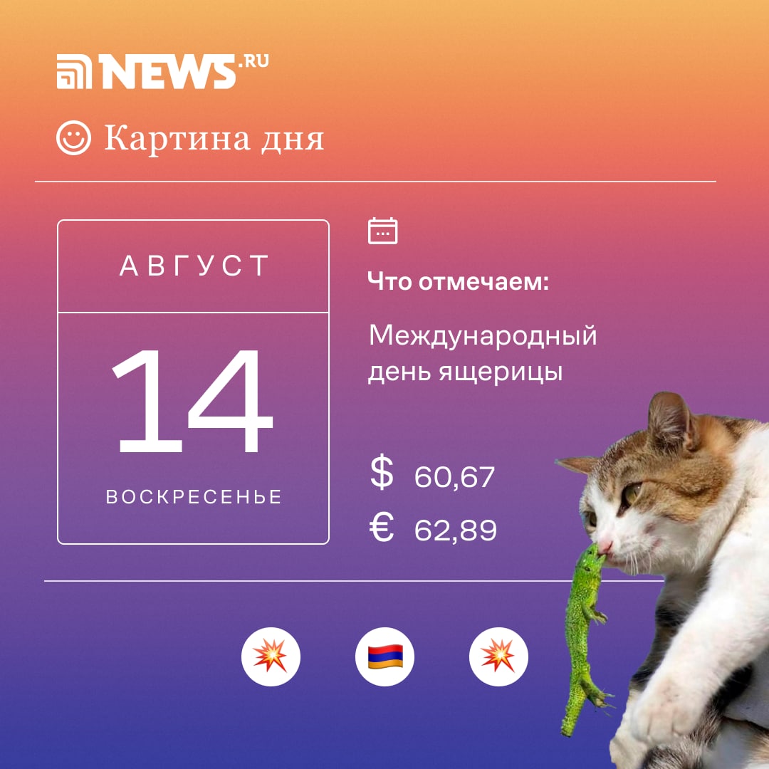 Новости от канала "NEWS.ru" на 15 августа